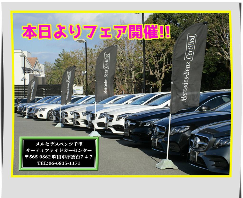 本日より♪