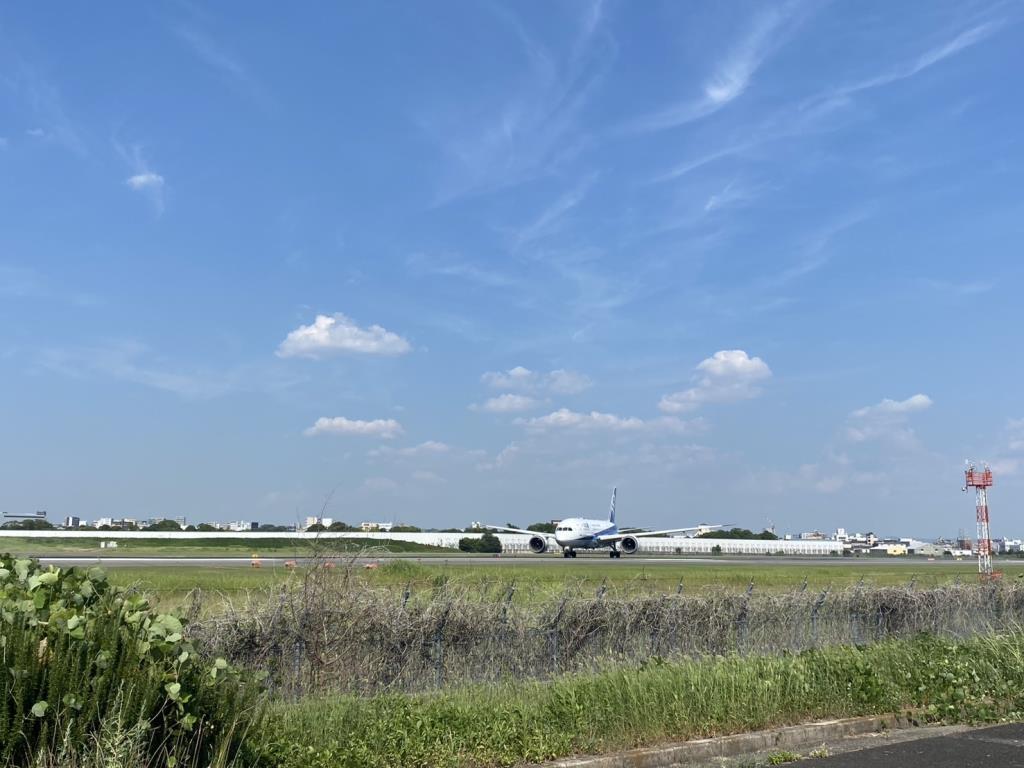 夏休みが近づいてまいりました