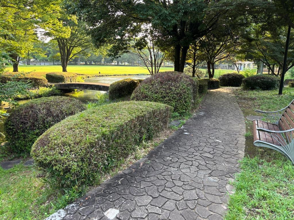 朝活ウォーキング☆