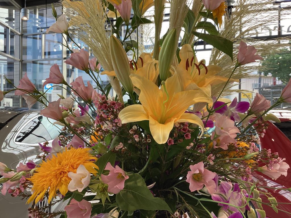 今週のお花のご紹介
