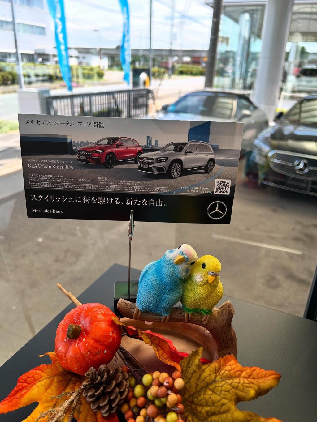 半期決算セール開催中！