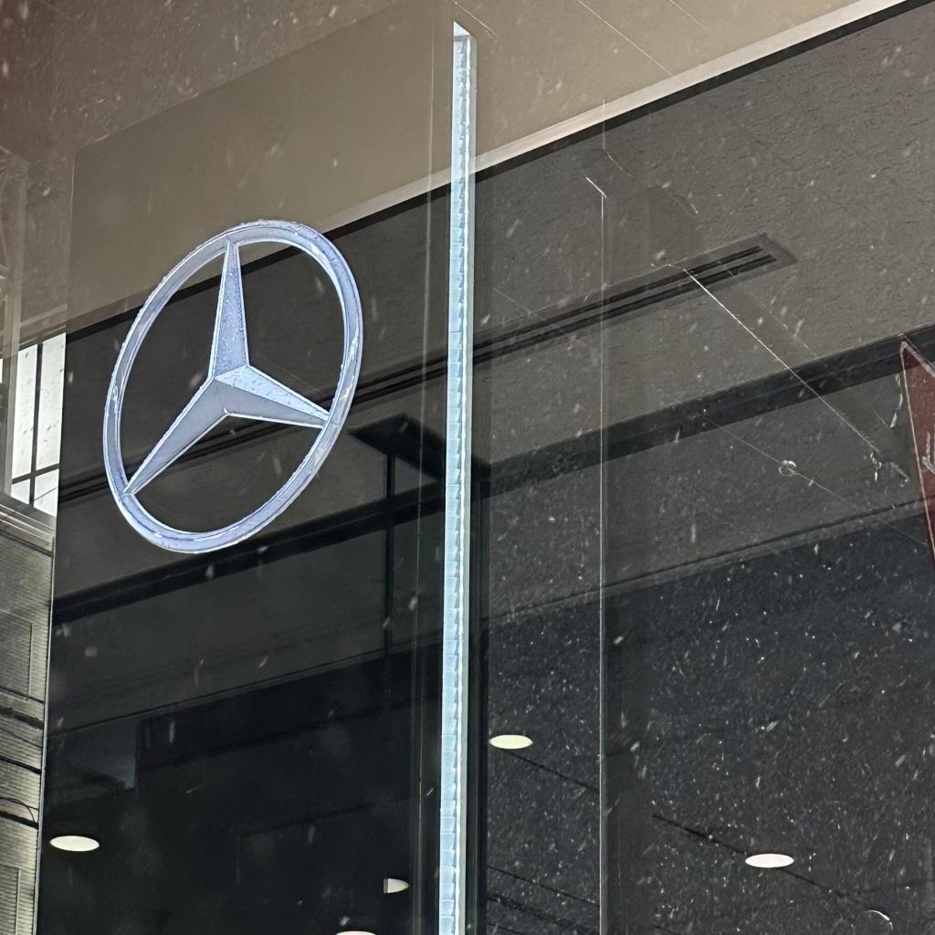 ◇雪が降りました♪